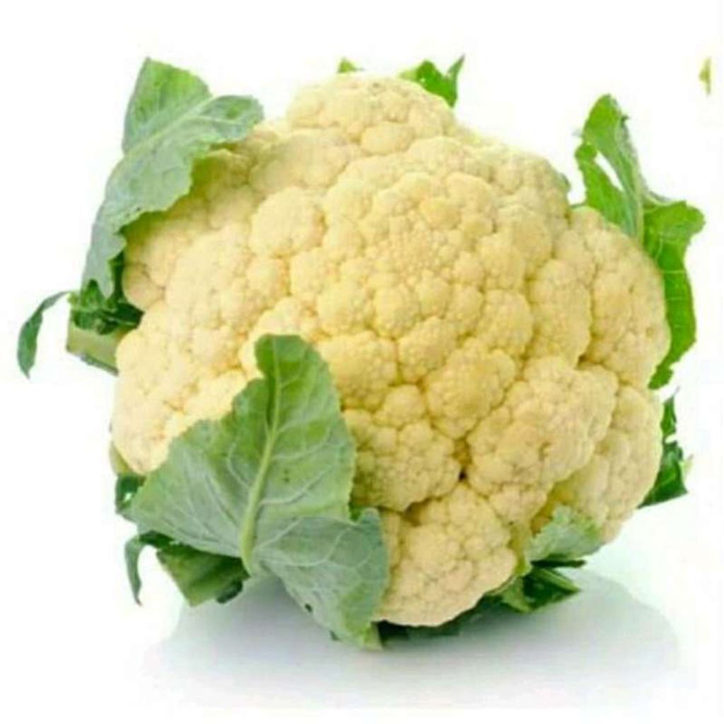 

BRUNGKOL(BRUKOLI PUTIH)