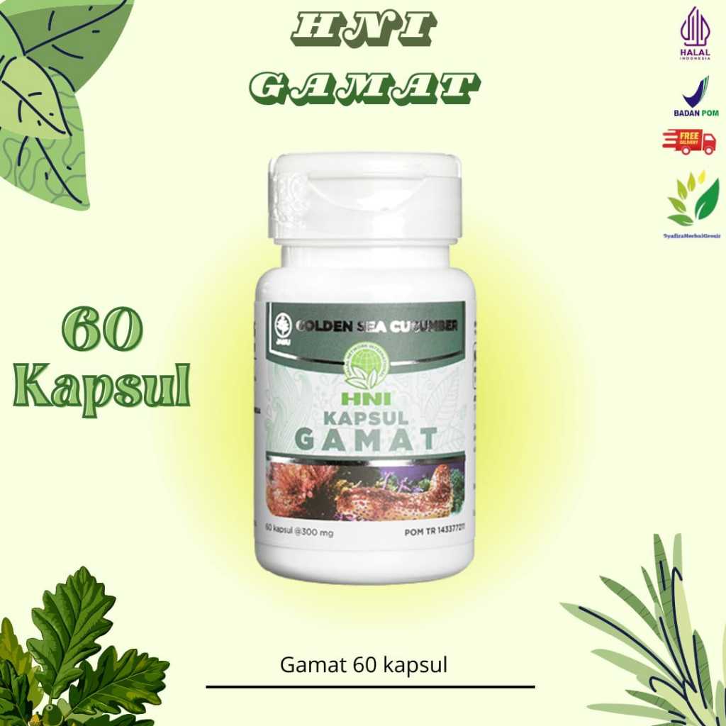 Gamat Kapsul Ekstrak Teripang Emas Untuk Nyeri Sendi / Gamat Hni Hpai Original