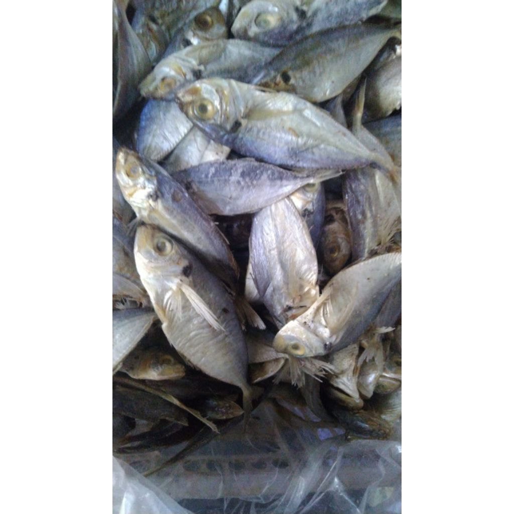 

ikan asin selar