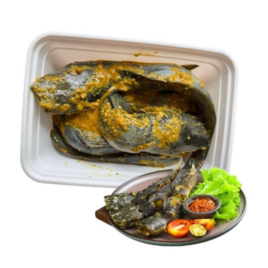 

Ikan Lele Beku Marinasi