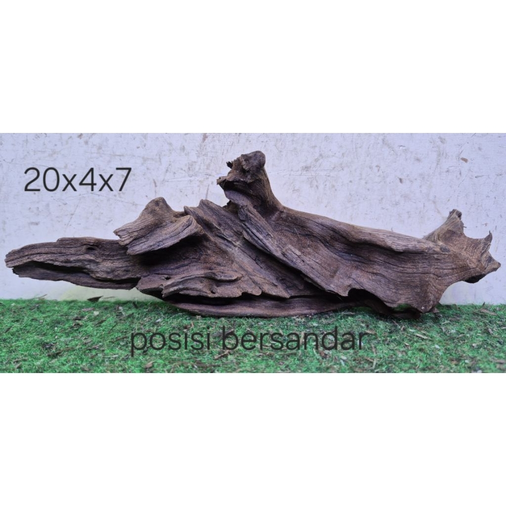 Kayu Santigi Laut Kecil 20cm Kayu Tenggelam Aquascape Aquarium Taman 20x4x7 T
