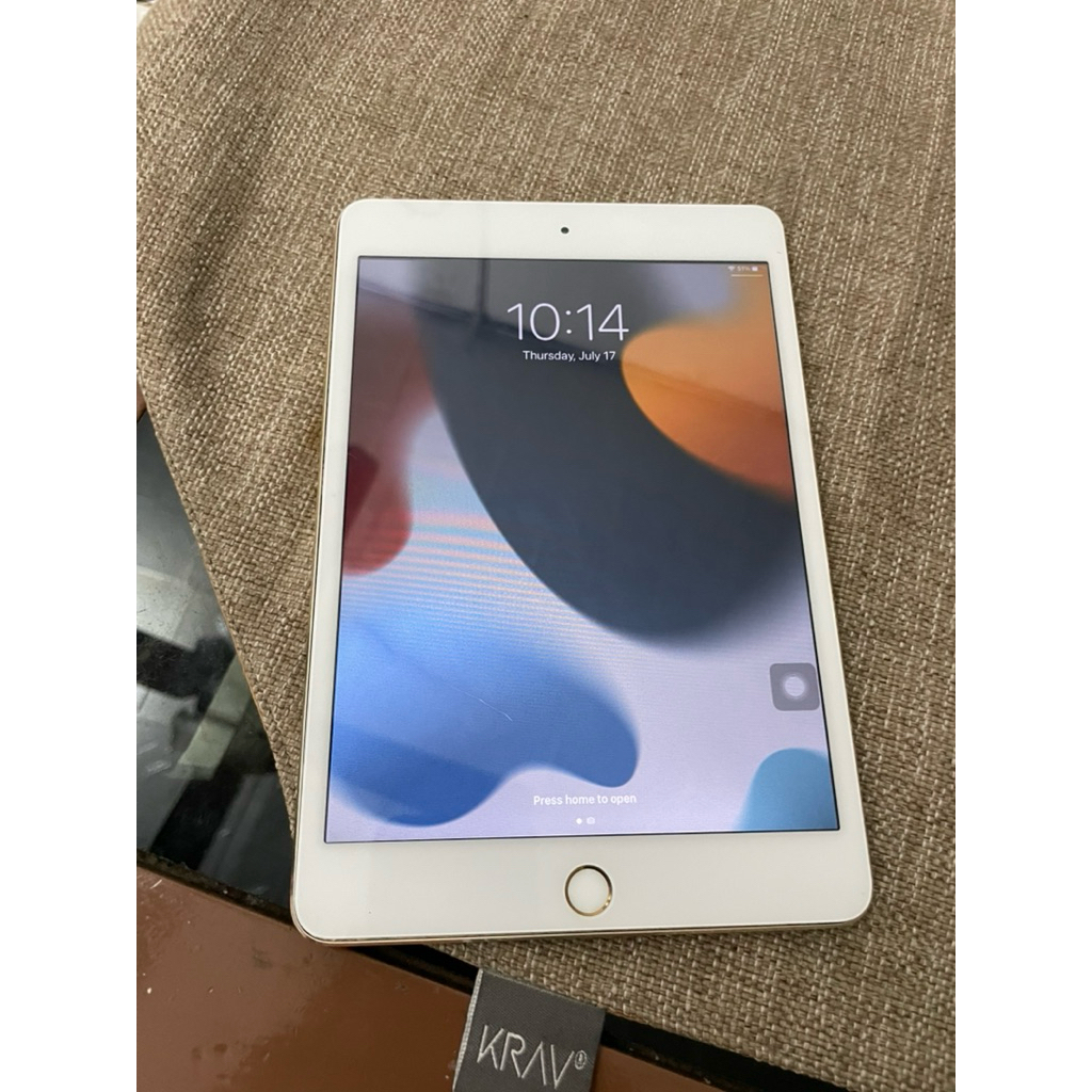 ipad mini 4 minus