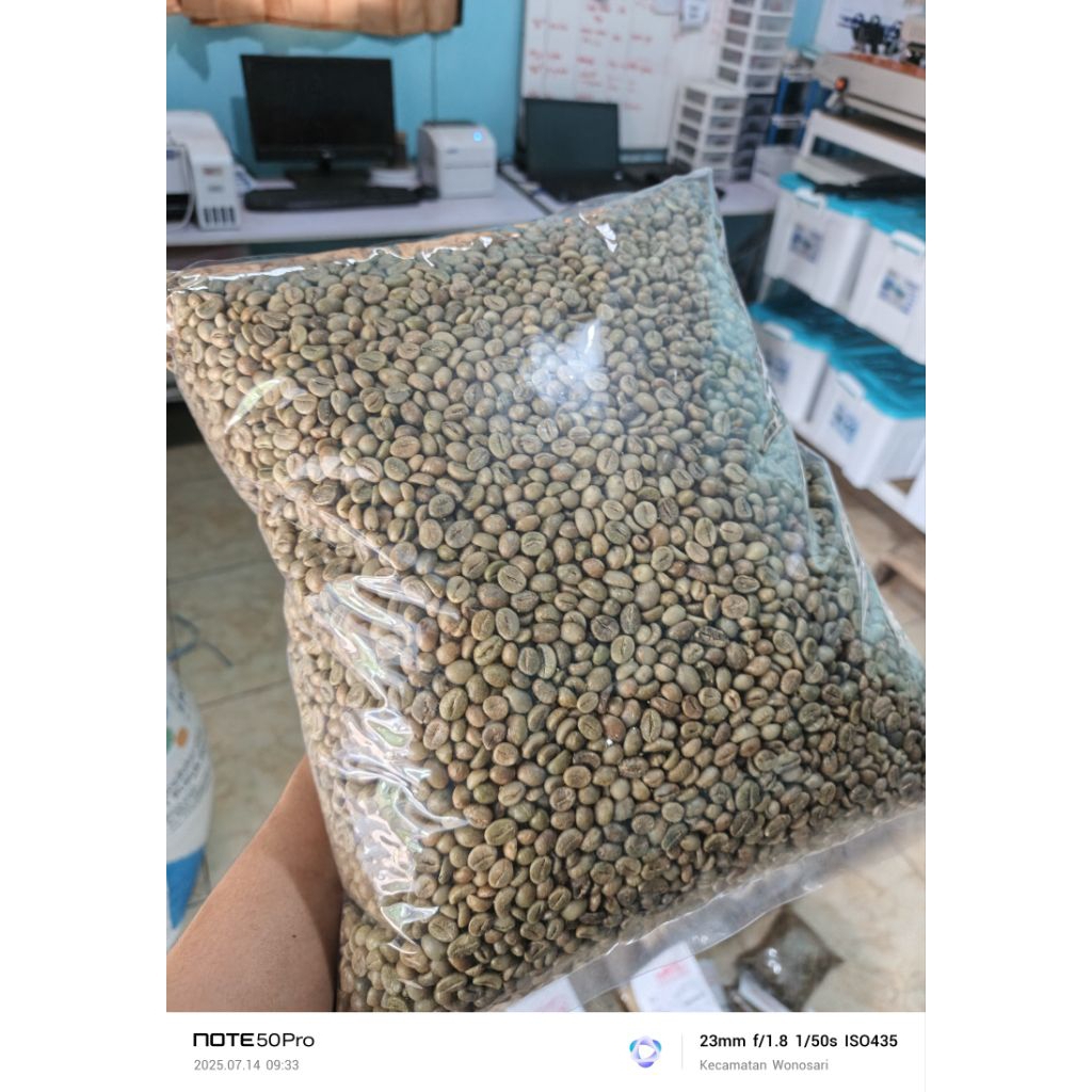 

GRADE 1 !! Kopi Robusta Mentah / Green bean kopi / Kopi OCE Robusta Gunung Kawi Bangelan TERMURAH BERKUALITAS Tanaka Roastery