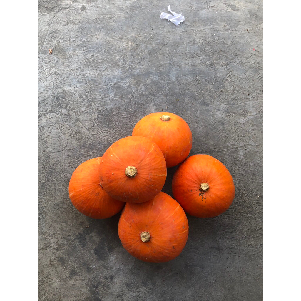 

kabocha orange / labu jepang berat 1kg