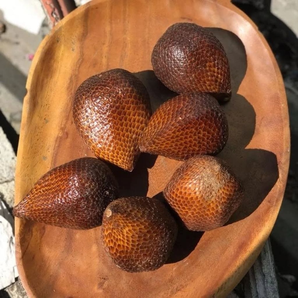 

Salak pondok fresh 1kg pengiriman aman + Box