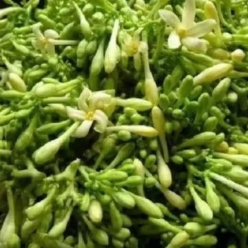 

kembang paya 1 kg