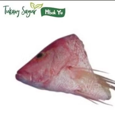 

Kepala kakap segar per pcs