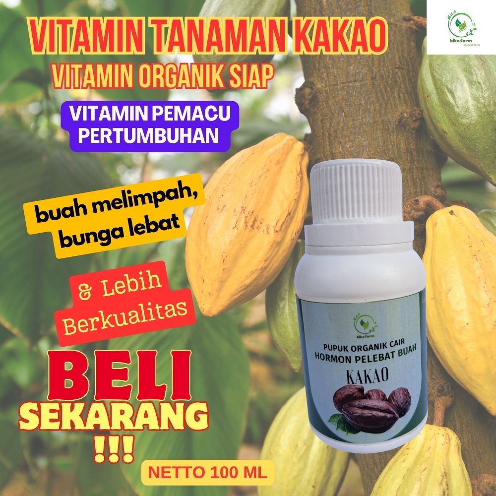 Pupuk Organik Cair Pelebat Buah Kakao. Pupuk Organik Cair Penyubur Tanaman Kakao