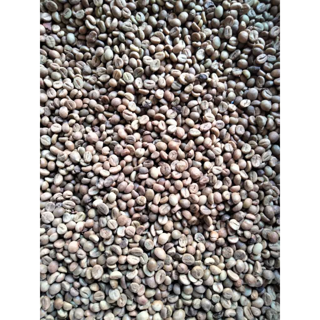 

Green Bean Kopi Robusta Gunung Halu Cililin Asalan 1Kg