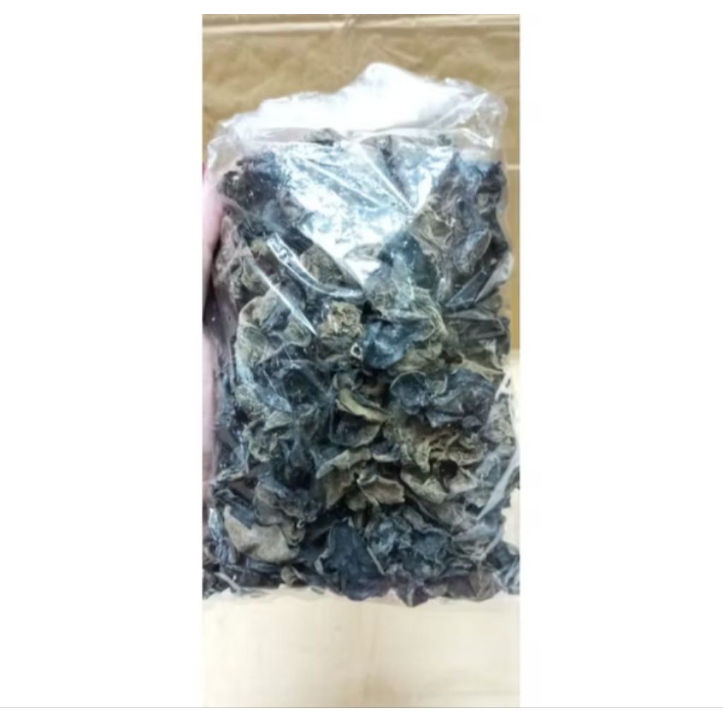 

jamur kuping super 1one / jamur hitam jamur masak