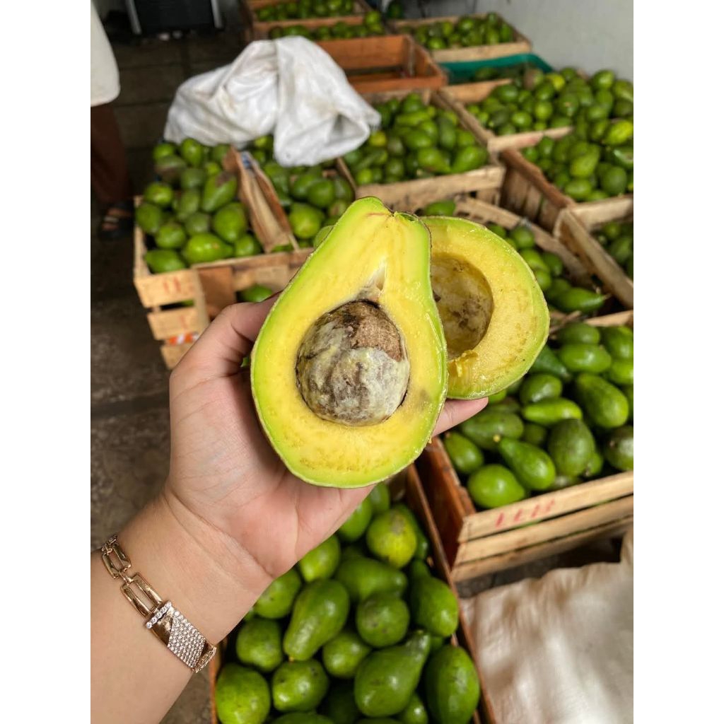 

Alpukat Mentega Asli Boyolali 1kg