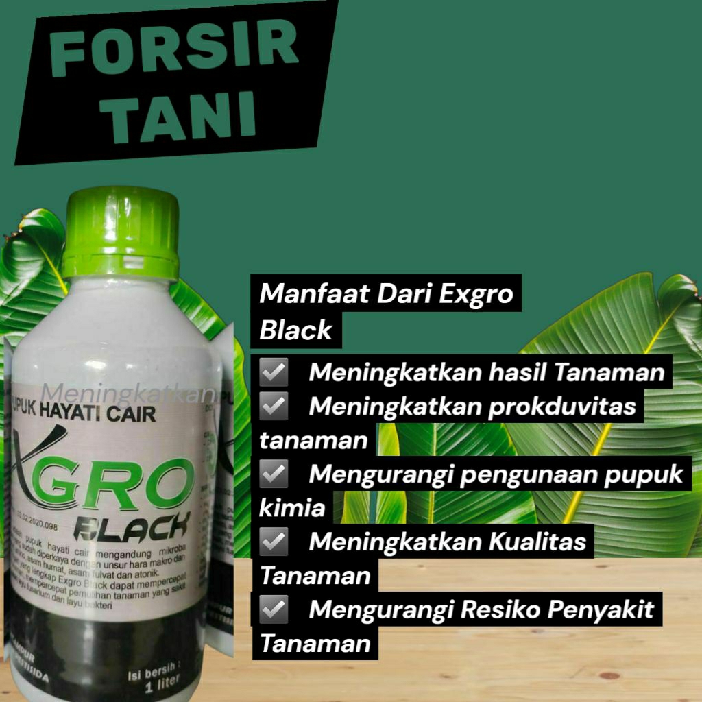 PUPUK HAYATI EXGRO BLACK
