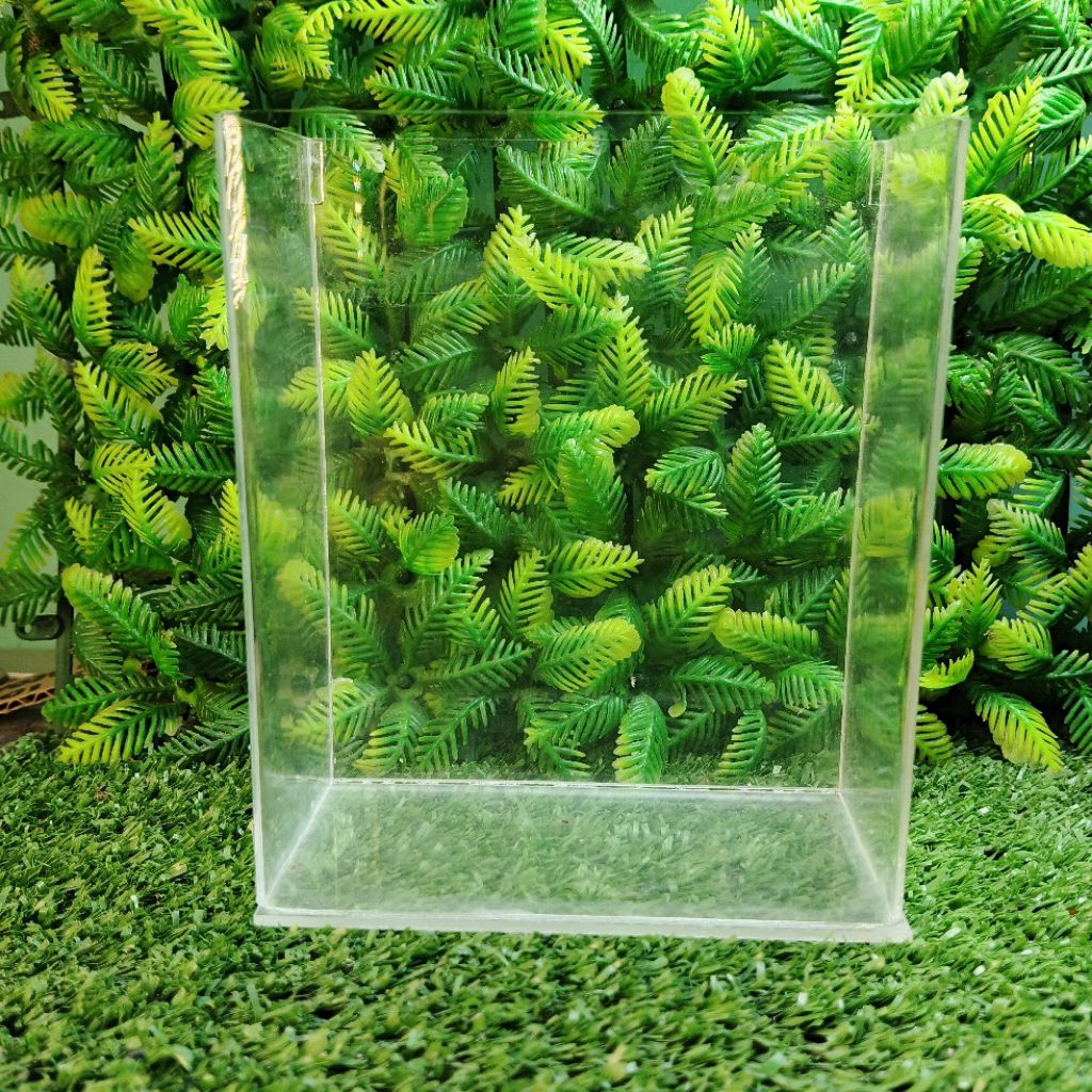akrilik akuarium