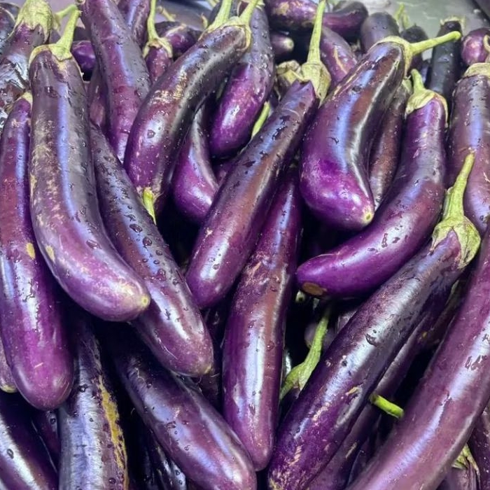 

INSTAN KOTA JAMBI Sayur Terong Ungu 250gr