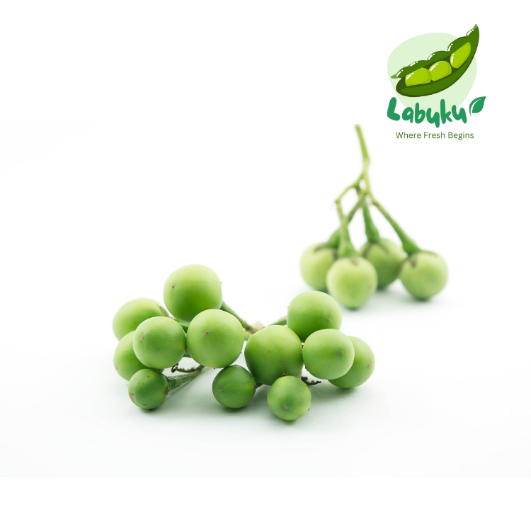 

Labuku – Rimbang Segar Premium Lokal | Terung Pipit/Takokak