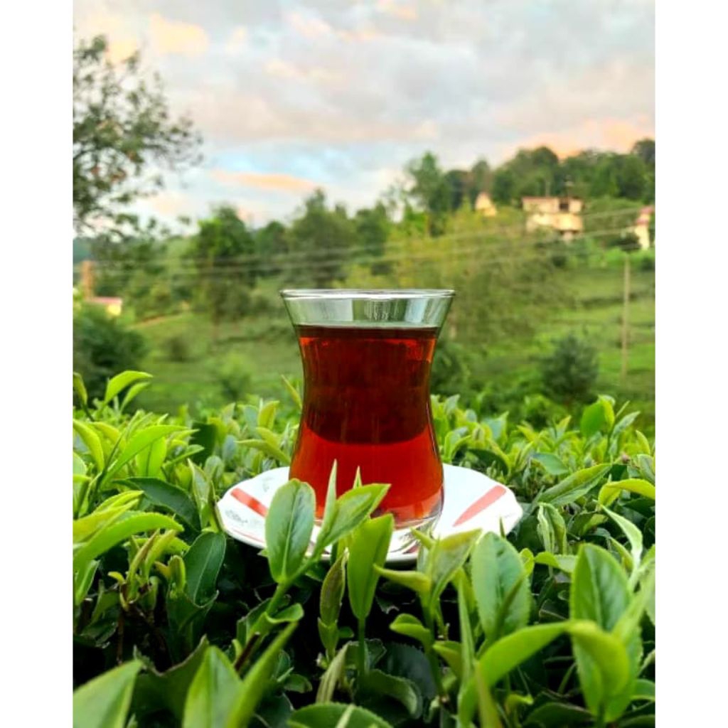 

Çaykur / teh Turki/import