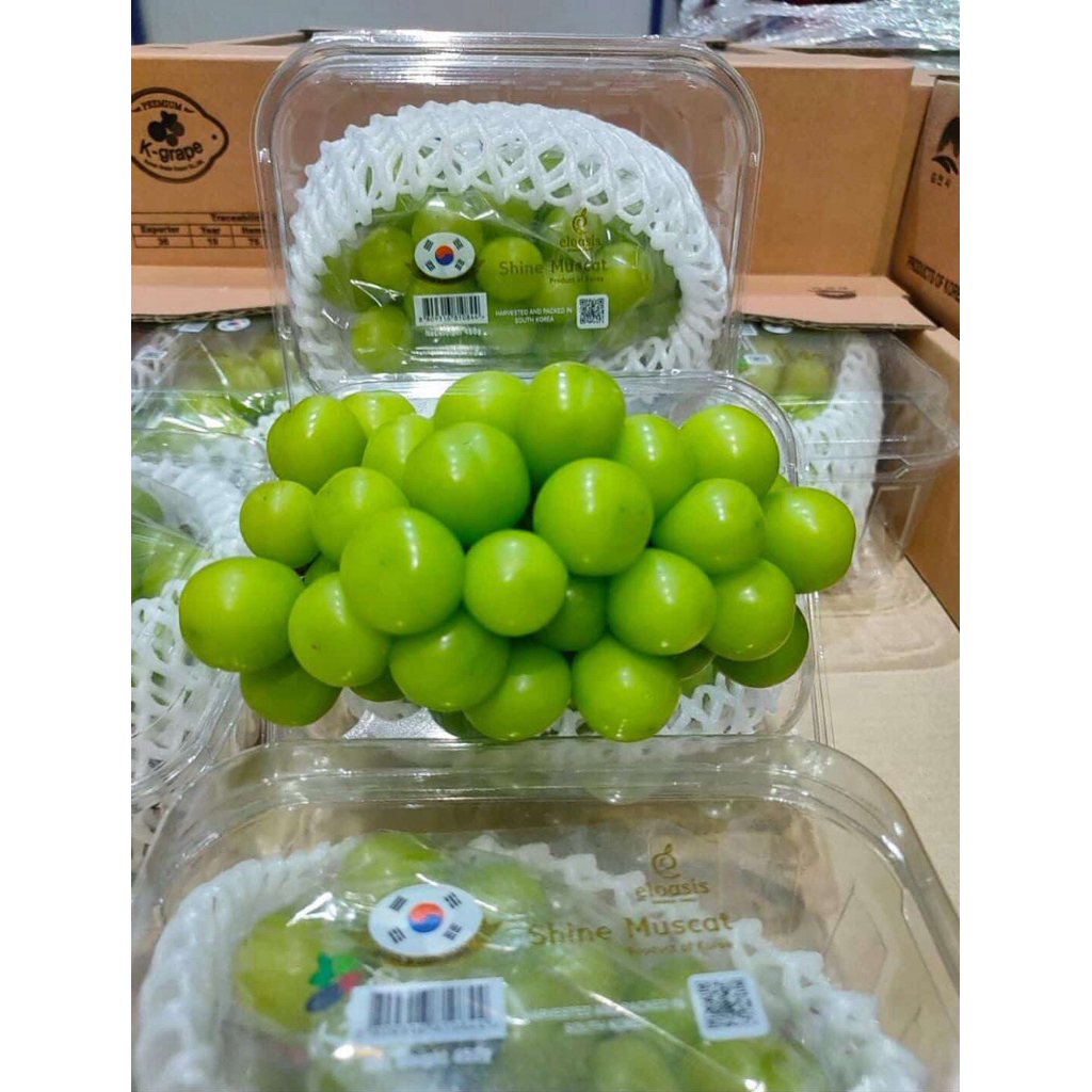 

ANGGUR SHINE MUSCAT KOREA