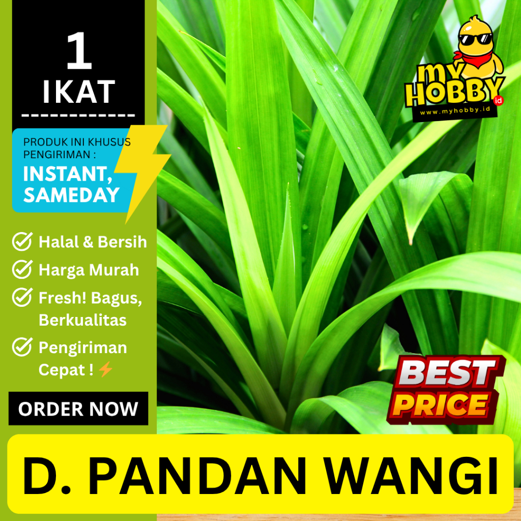 

Daun Pandan Wangi Segar 1 Ikat (10 - 15 Lembar). Dipetik Dadakan Saat Pesanan Masuk. Dijamin Wangi!