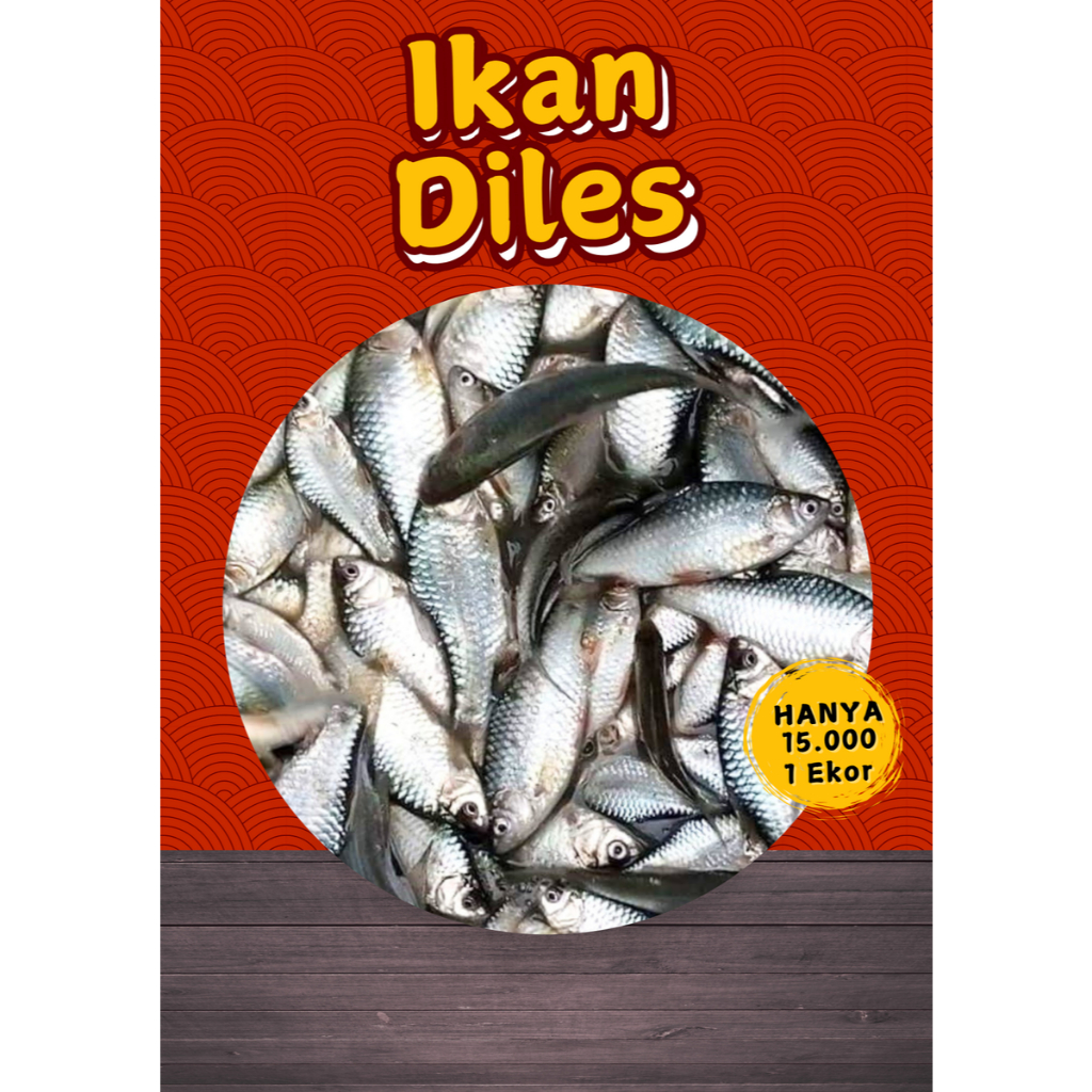 

Ikan Laut Diles Masih Seger Dalam Kemasan Frozen Fresh