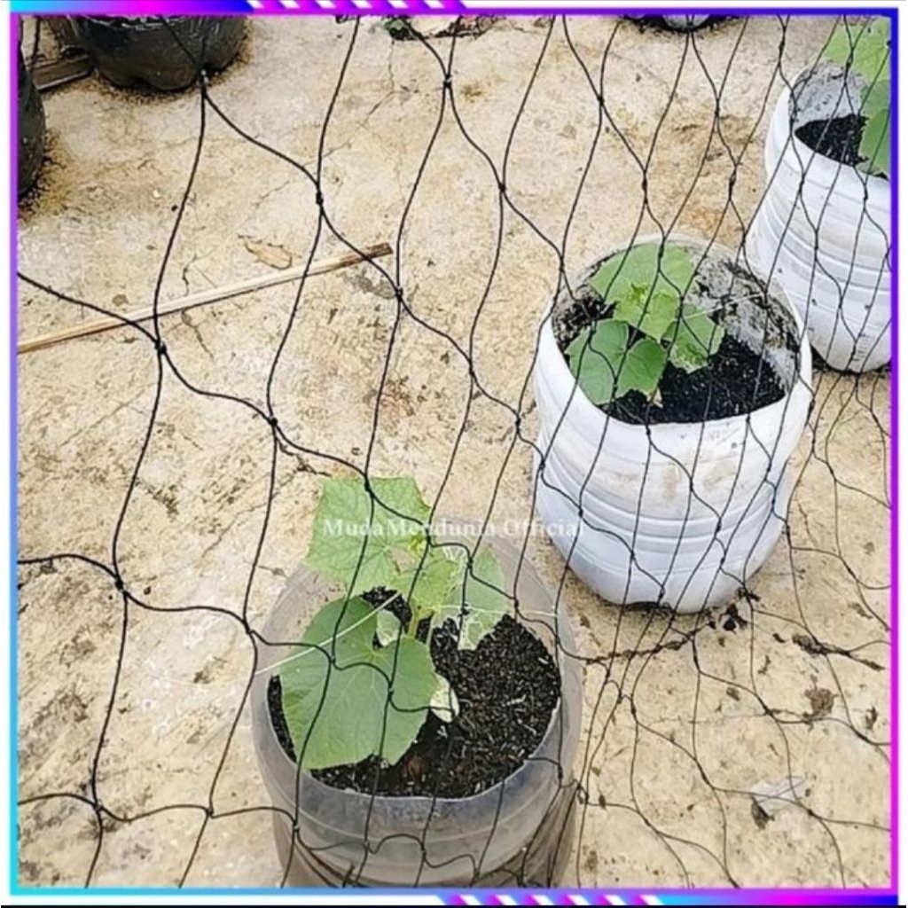Jaring tanaman rambat permeter murah