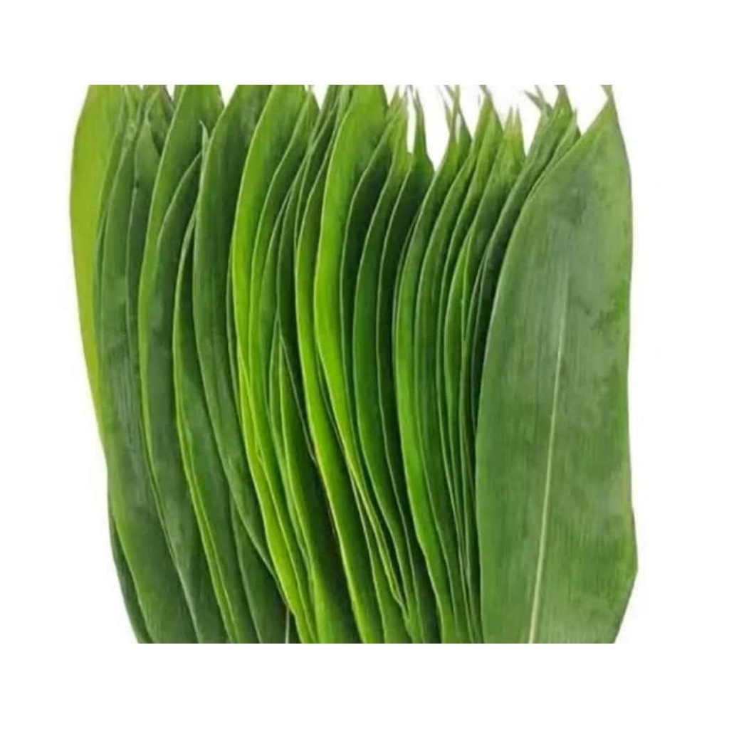 

daun bambu bacang 50 lmbr 8 cm keatas segar freshh dadakan