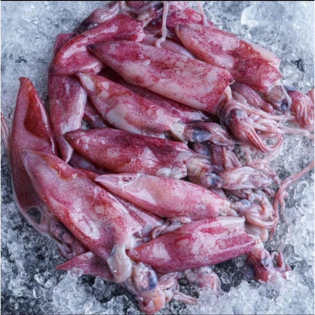 

CUMI BABY 250gr 500gr 1kg