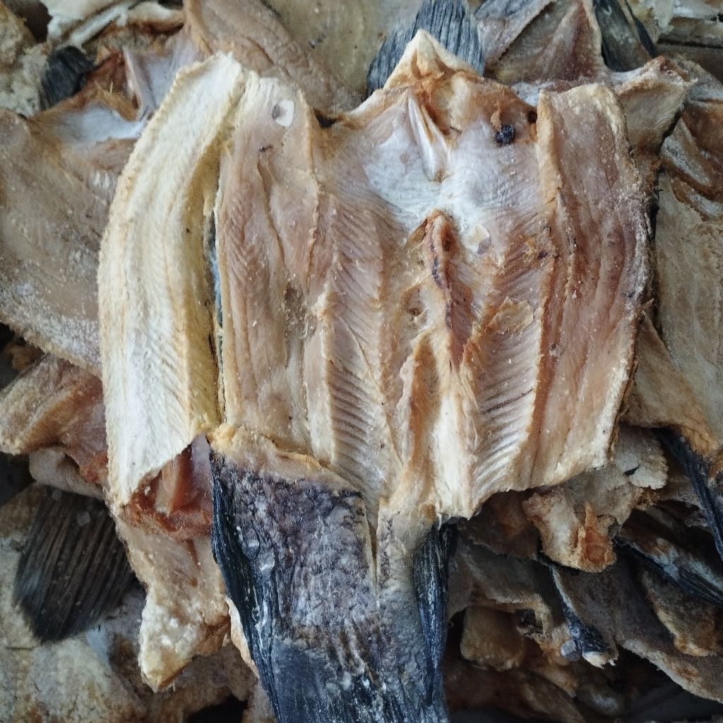 

Ikan asin gabus Kalimantan 250 gram