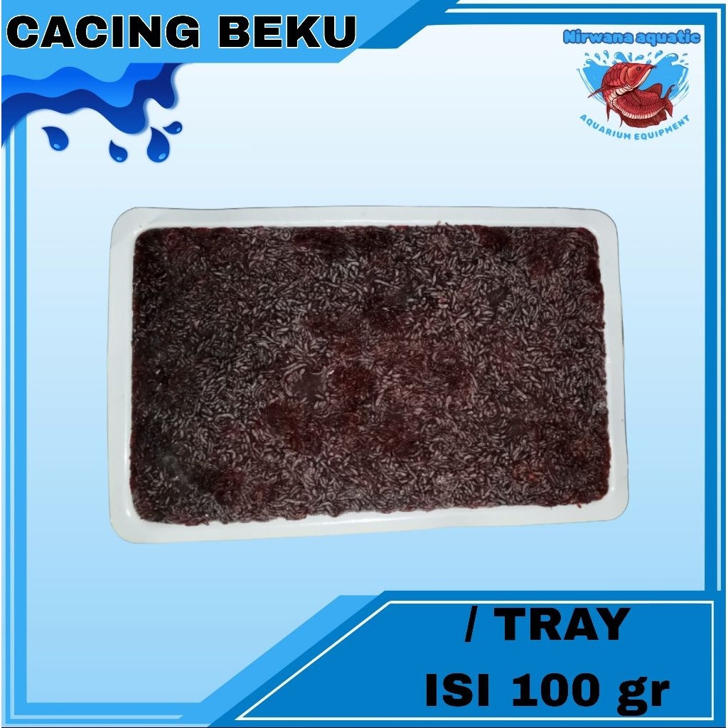 (INSTAN) CACING DARAH SEGAR BEKU / TRAY - ISI 100 gr