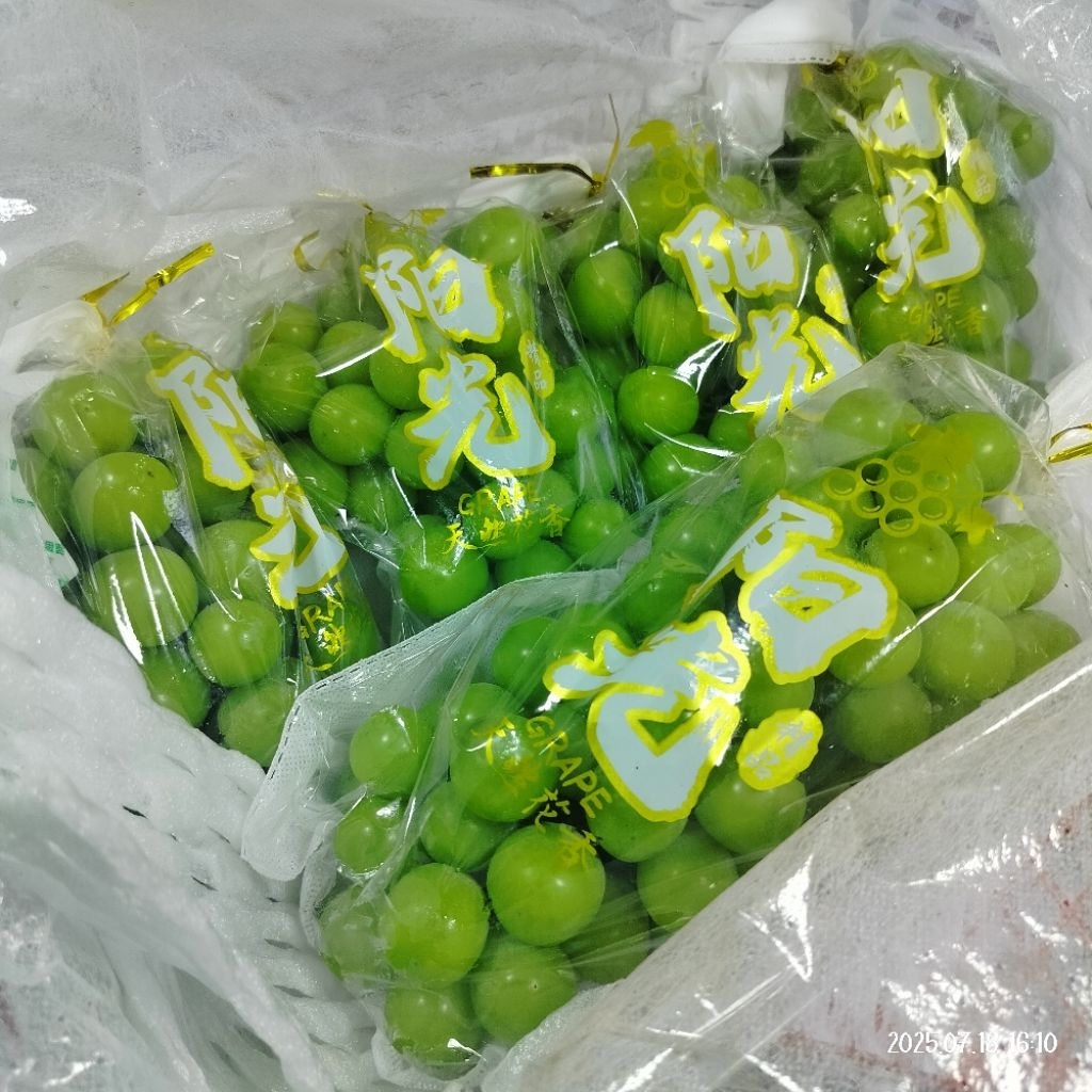 

Shine Muscat Premium