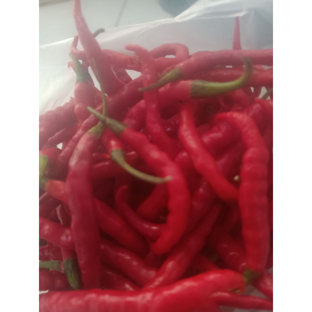 

cabe merah segar 250 gram