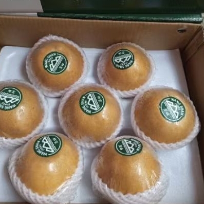 

Pear singo wangsan super jumbo premium 1 Kg