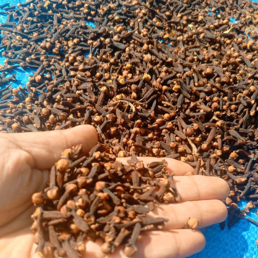 

Cengkeh kering premium 100g