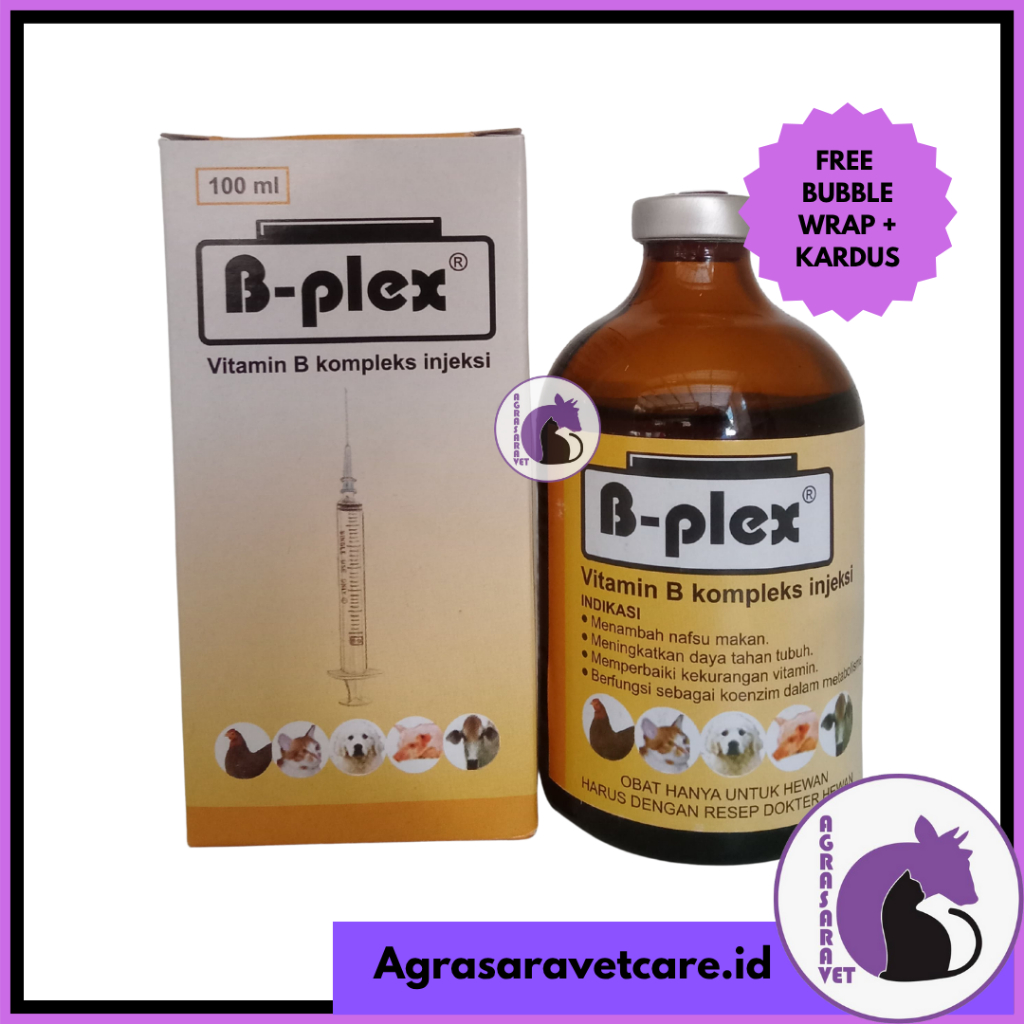 B Plex 100 ml  Pyridam Vitamin B Kompleks  Injeksi 100 Ml