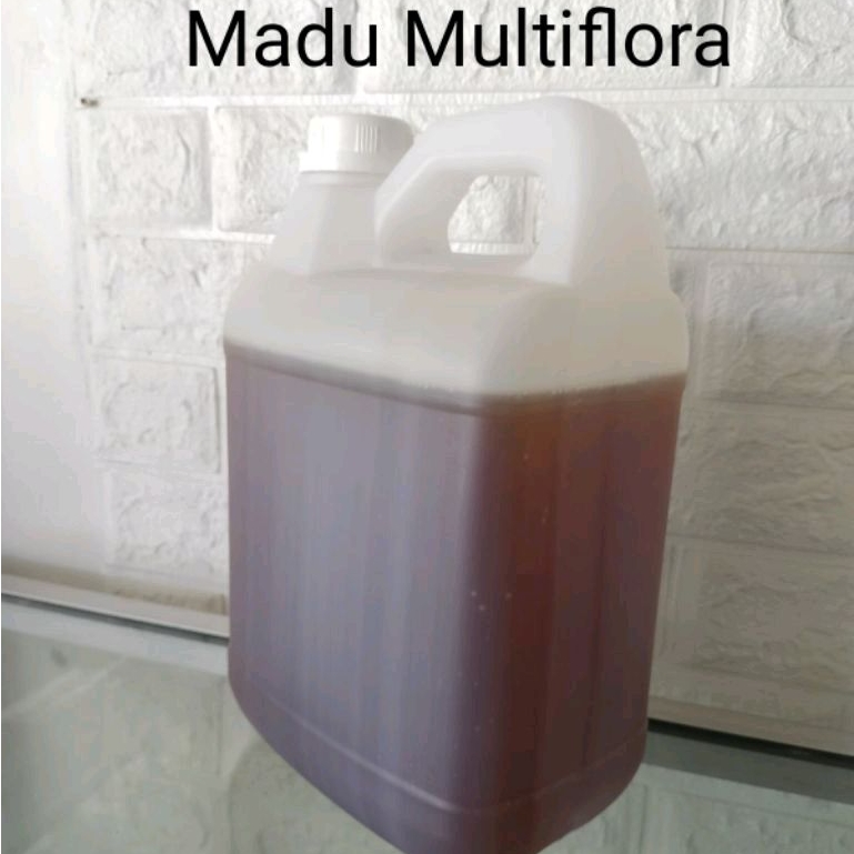 

Madu Curah Multiflora 5 Kg