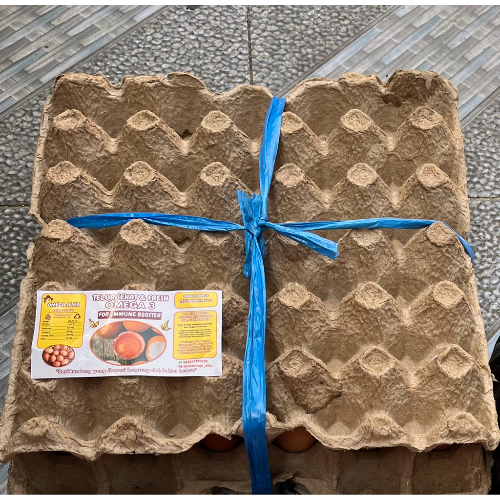 

telur omega 1 karpet