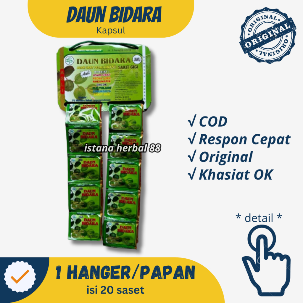 kapsul daun bidara