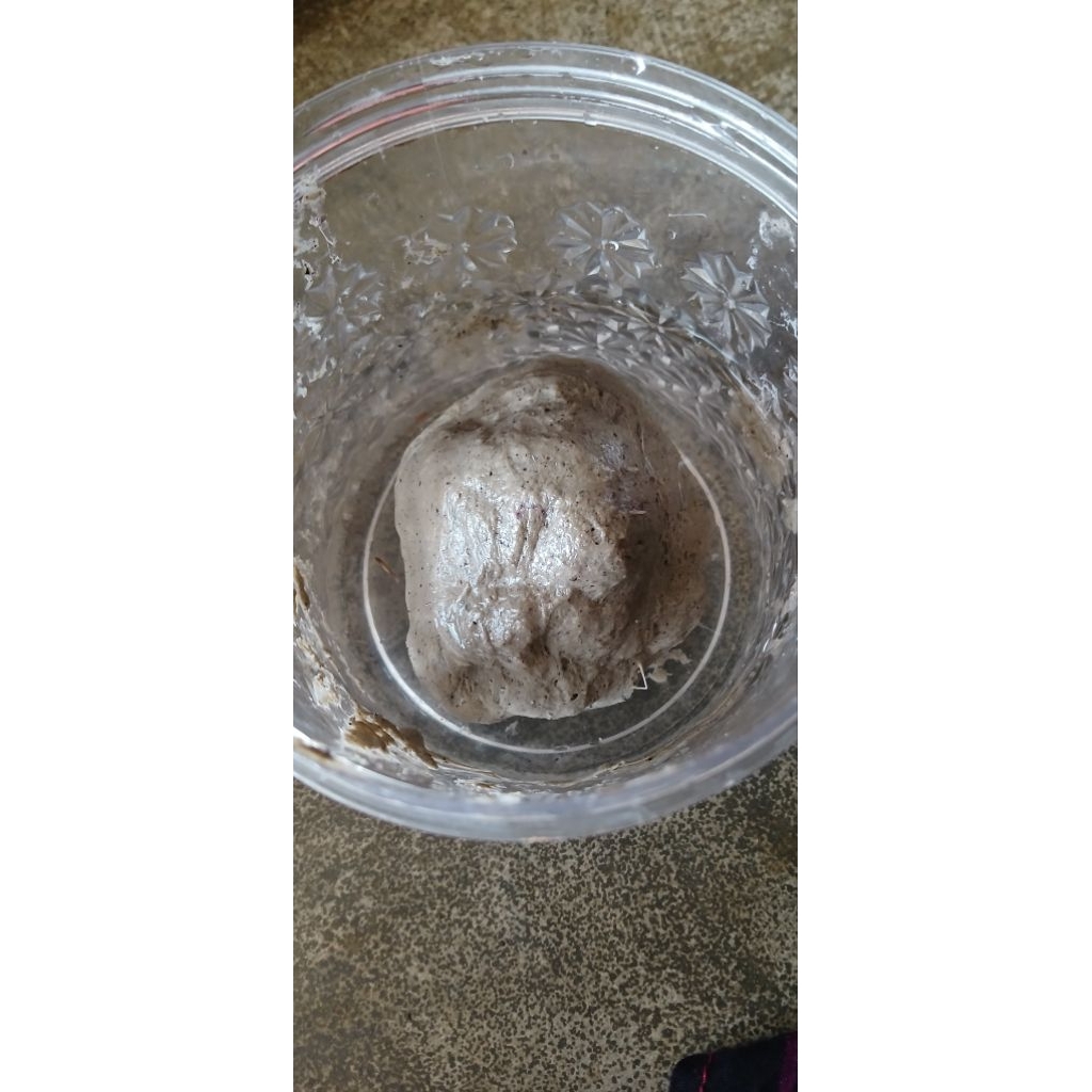 LEM PULUT BURUNG (PIKAT BURUNG)