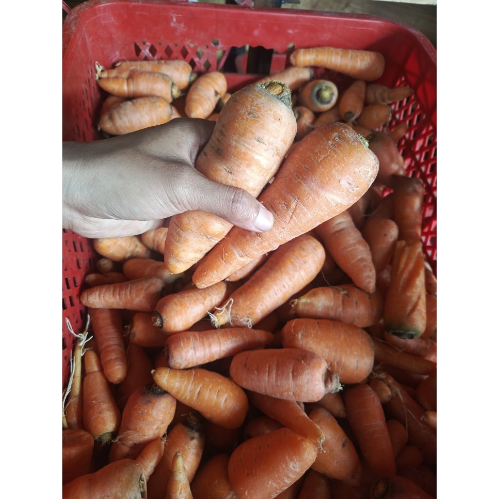 

Wortel Fresh 500 gr
