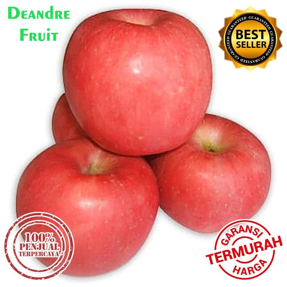 

Buah Apel Fuji Rosy Blush Premium 1kg Manis TERMURAH DIJAMIN MURA