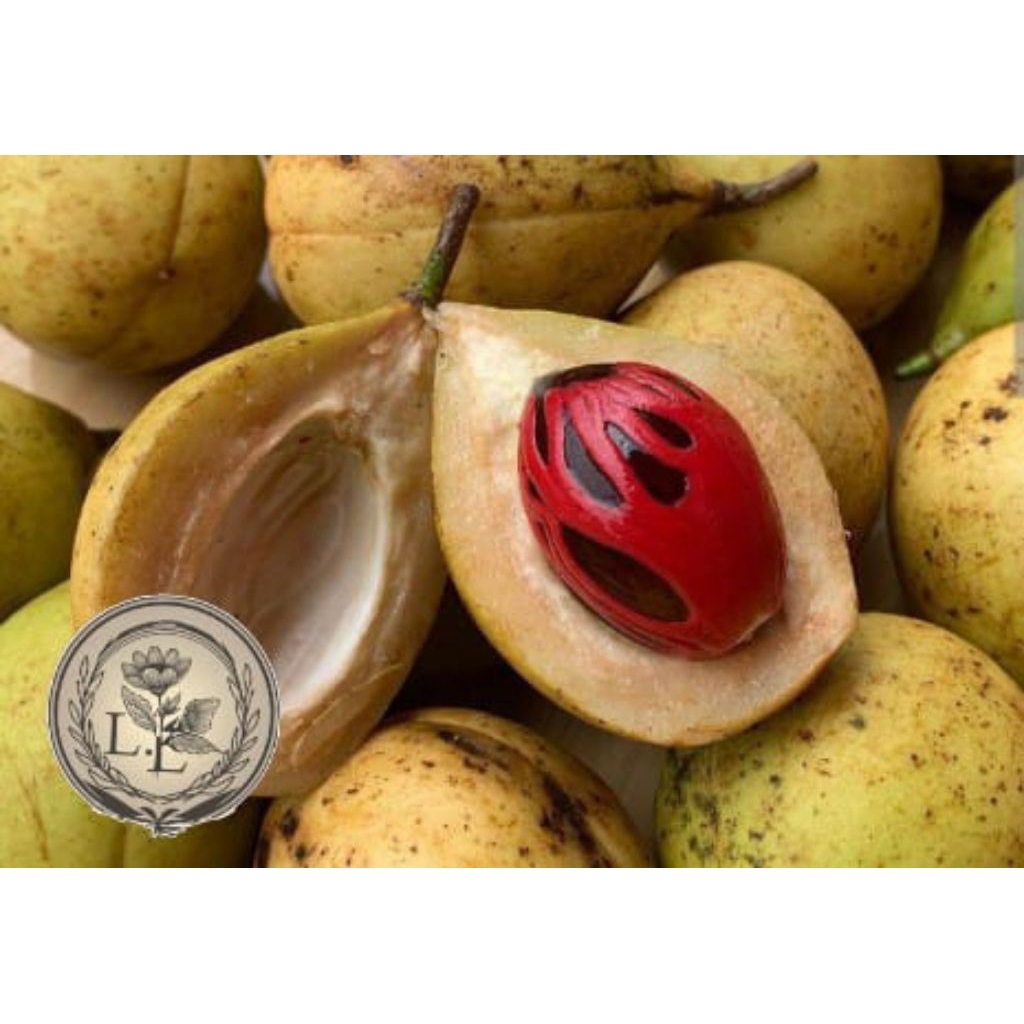 

1kg pala seribu manfaat