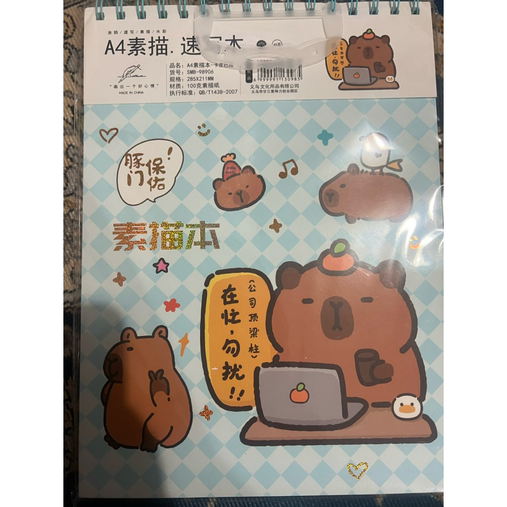 

Buku Gambar Spiral capy bara, kuromi, melodi | Notebook Lucu Karakter Kartun Anak Sekolah