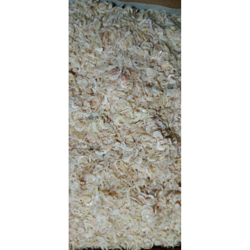 

ikan asin udang rebon