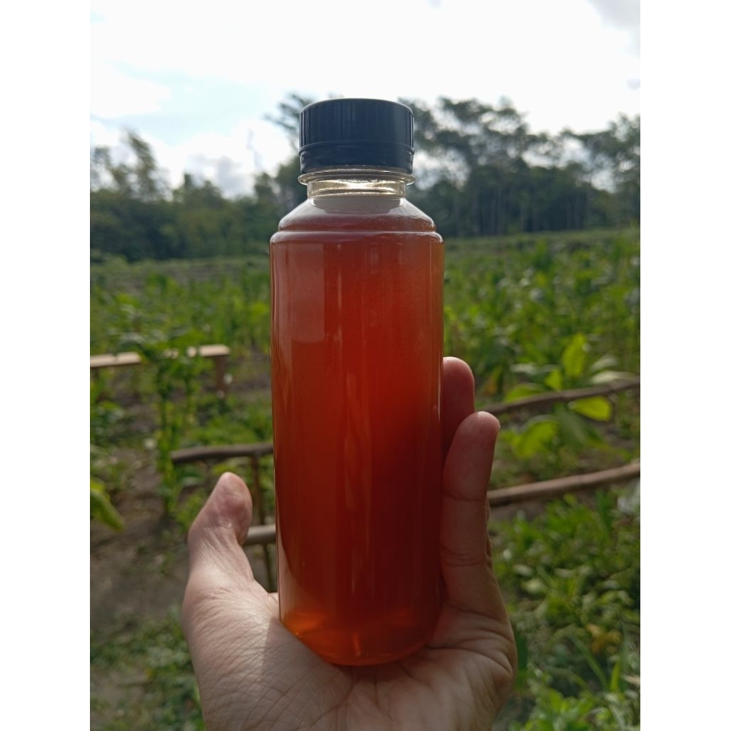 

Madu hutan liar jenis klanceng 100% madu murni tanpa campuran