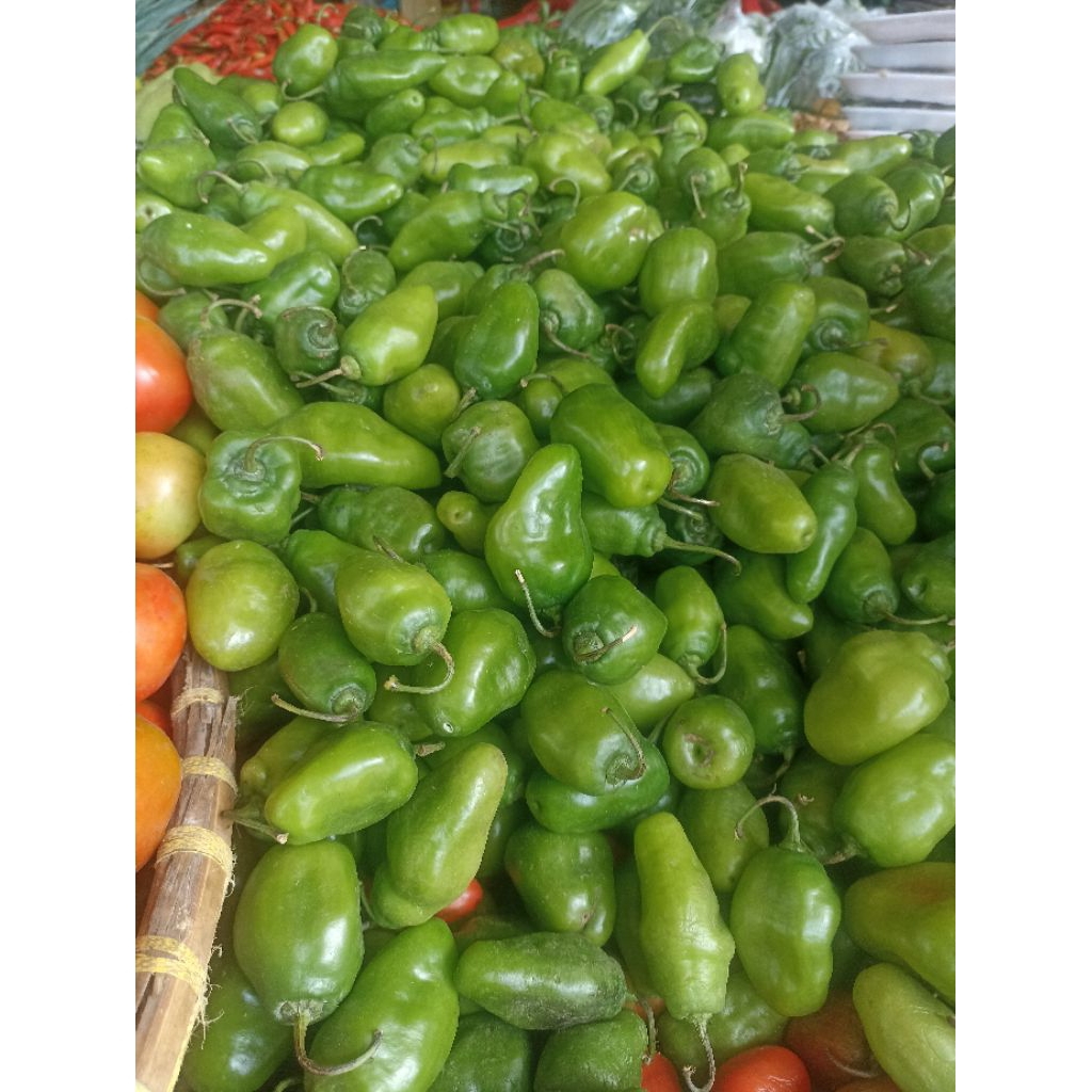 

Cabe Bendot / Gendot & cabe hijau besar / cabe tanjung (100gr)