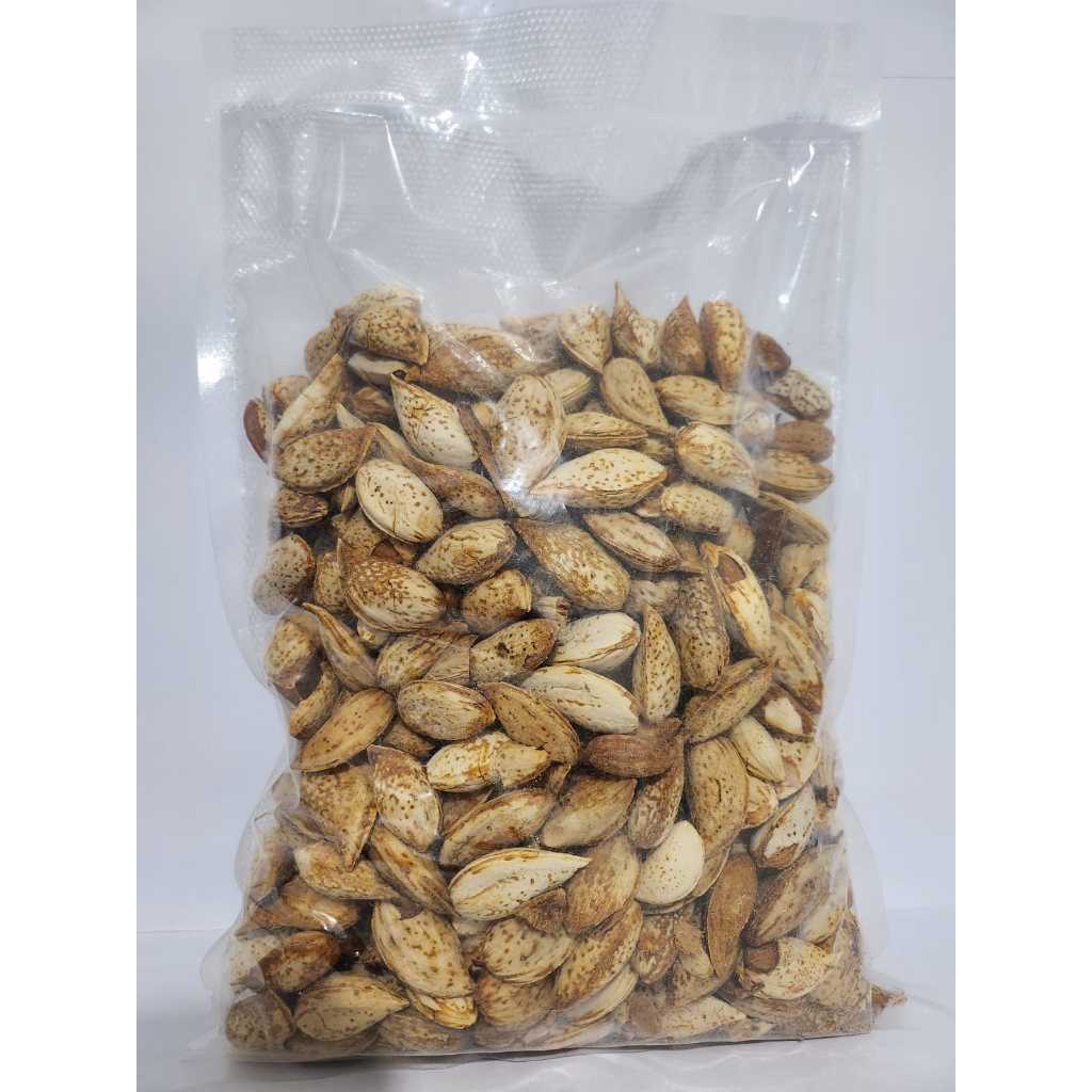 

Almond Cangkang Original | Almond In Shell Panggang Asin Gurih | Kacang Almond Kulit Keras Utuh
