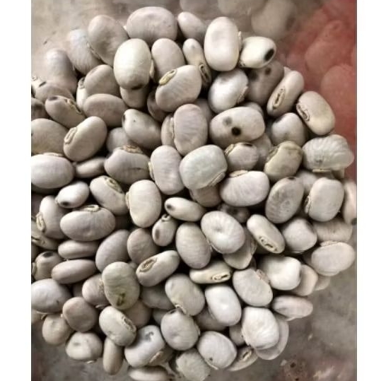 

BIJI KACANG BENGUK MENTAH KEMASAN 500GR