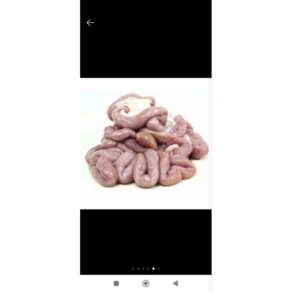 

Usus Sapi Bersih 500g-1kg