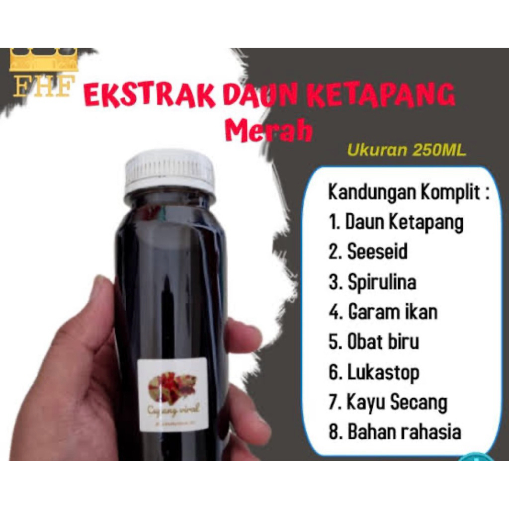

extrak ketapang