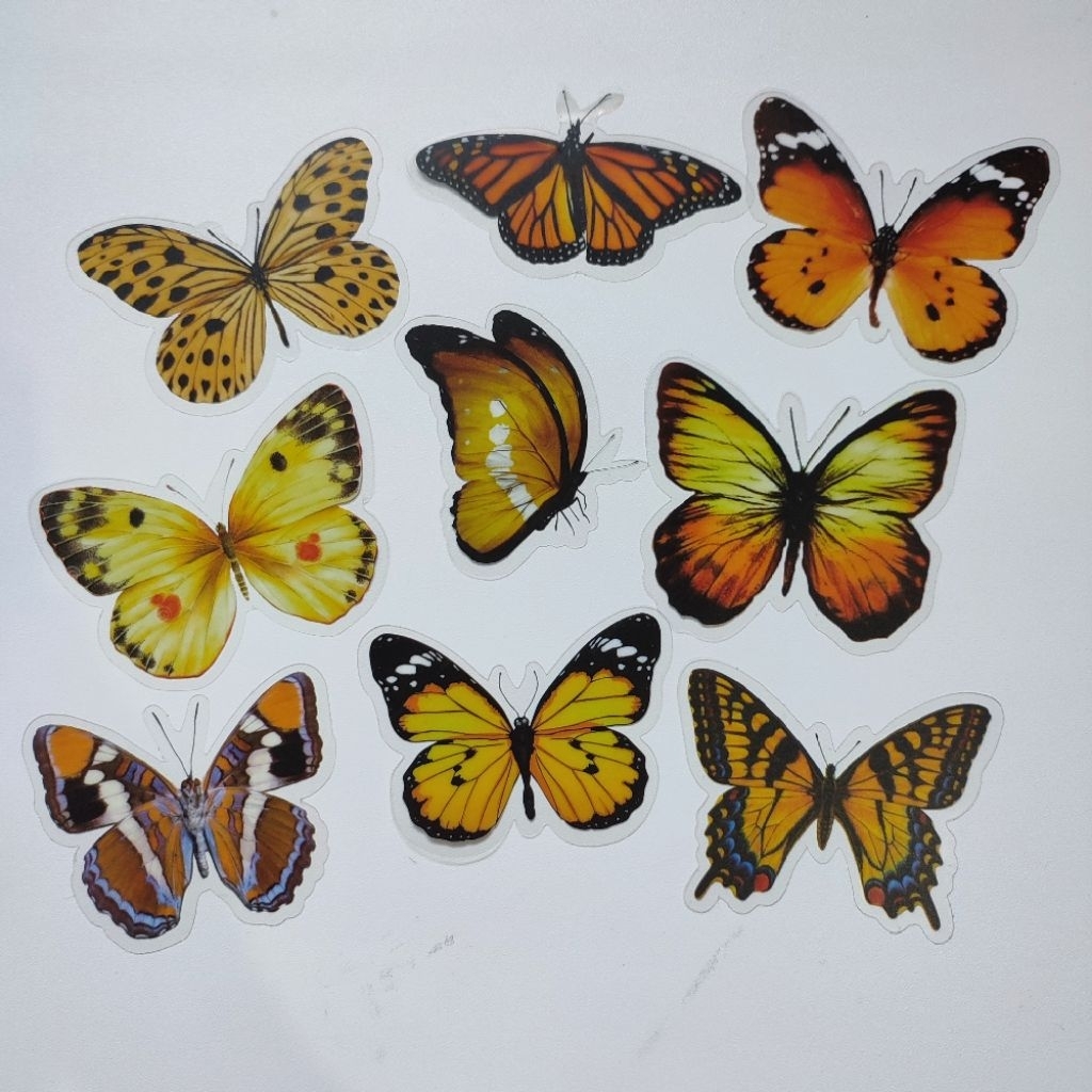 

STIKER WATERPROOF BIG BUTTERFLY