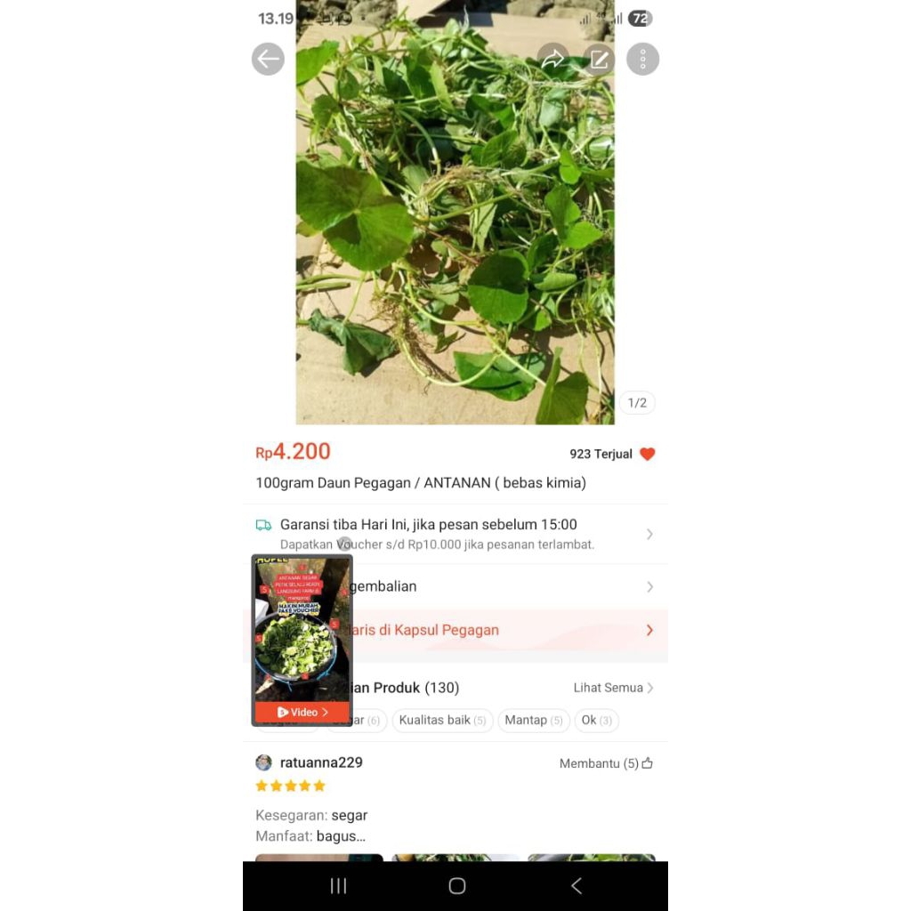 

100 gram daun PEGAGAN atau / ANTANAN (bebas kimia)